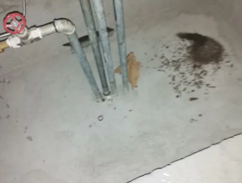 红花岗卫生间测漏水价格明细